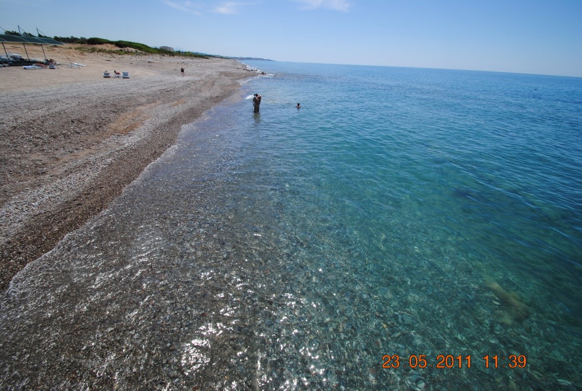 imagini hotel AMELIA BEACH RESORT SIDE